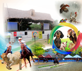 Eventos