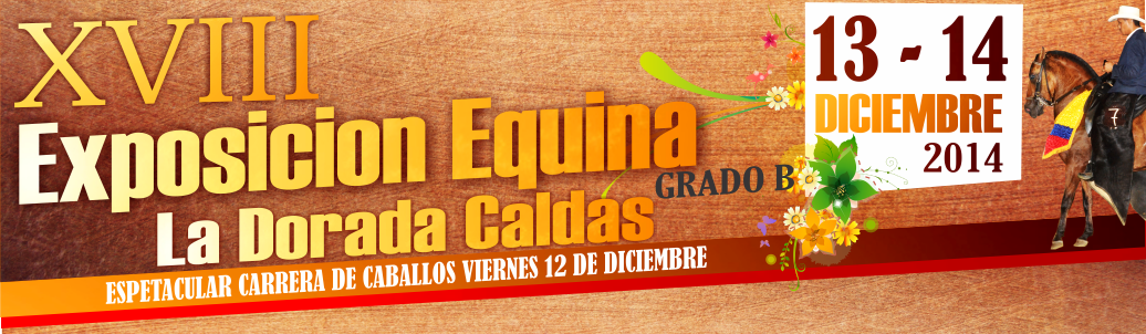 exposicion equina grado b