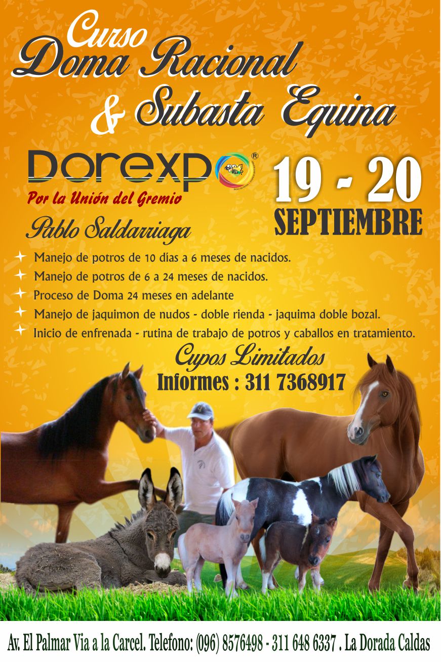 Subasta Equina
