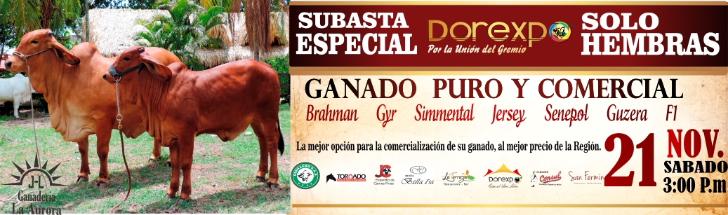 Subasta Equina