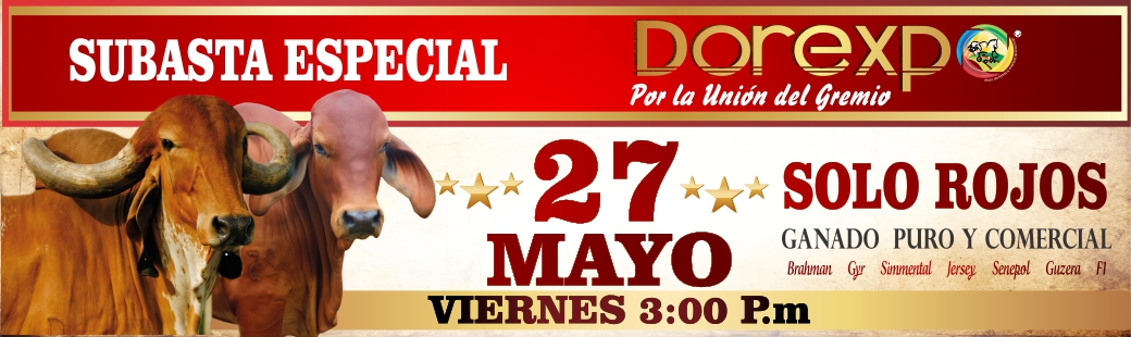Subasta Solo Rojos