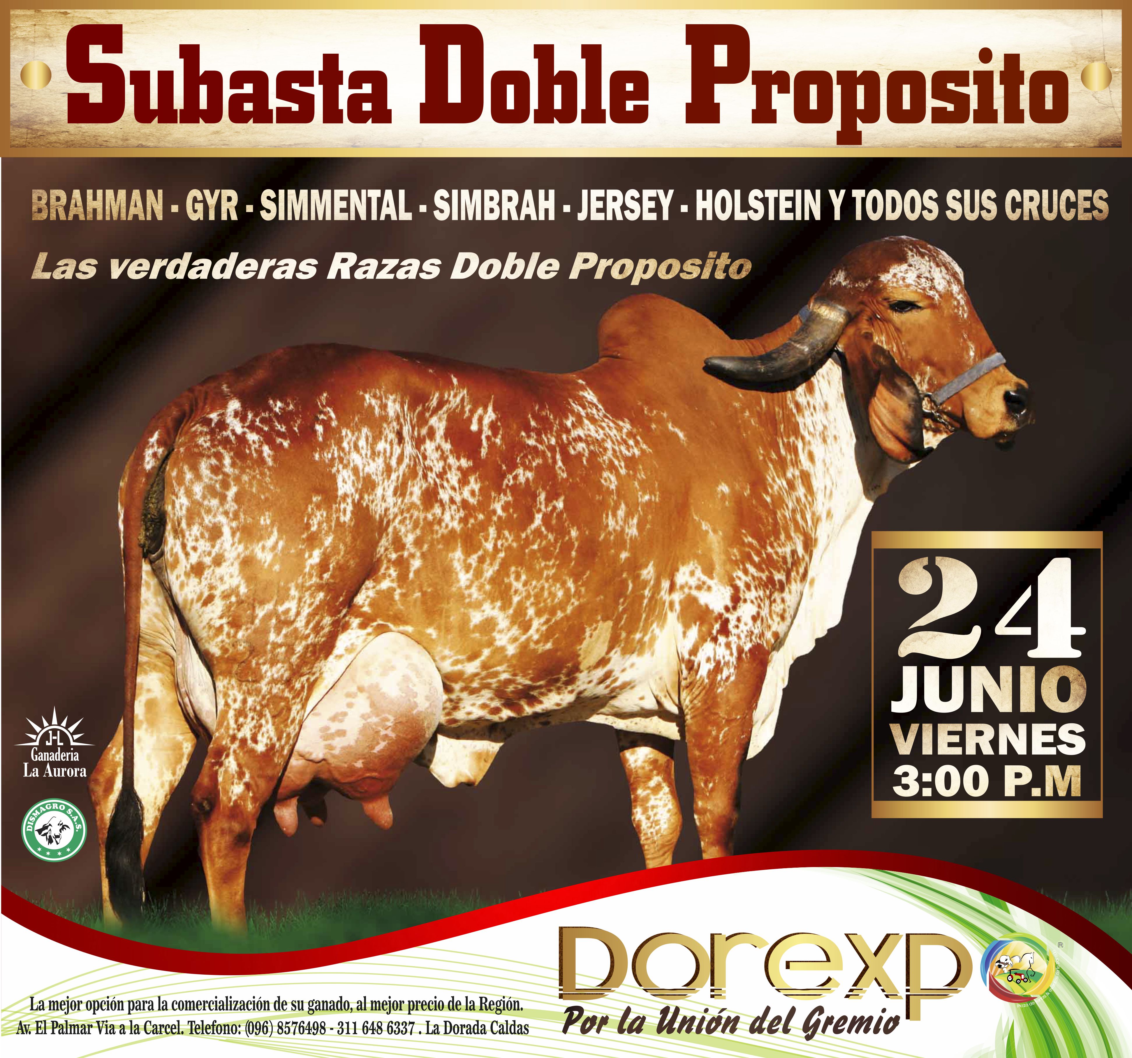 Subasta Doble Proposito