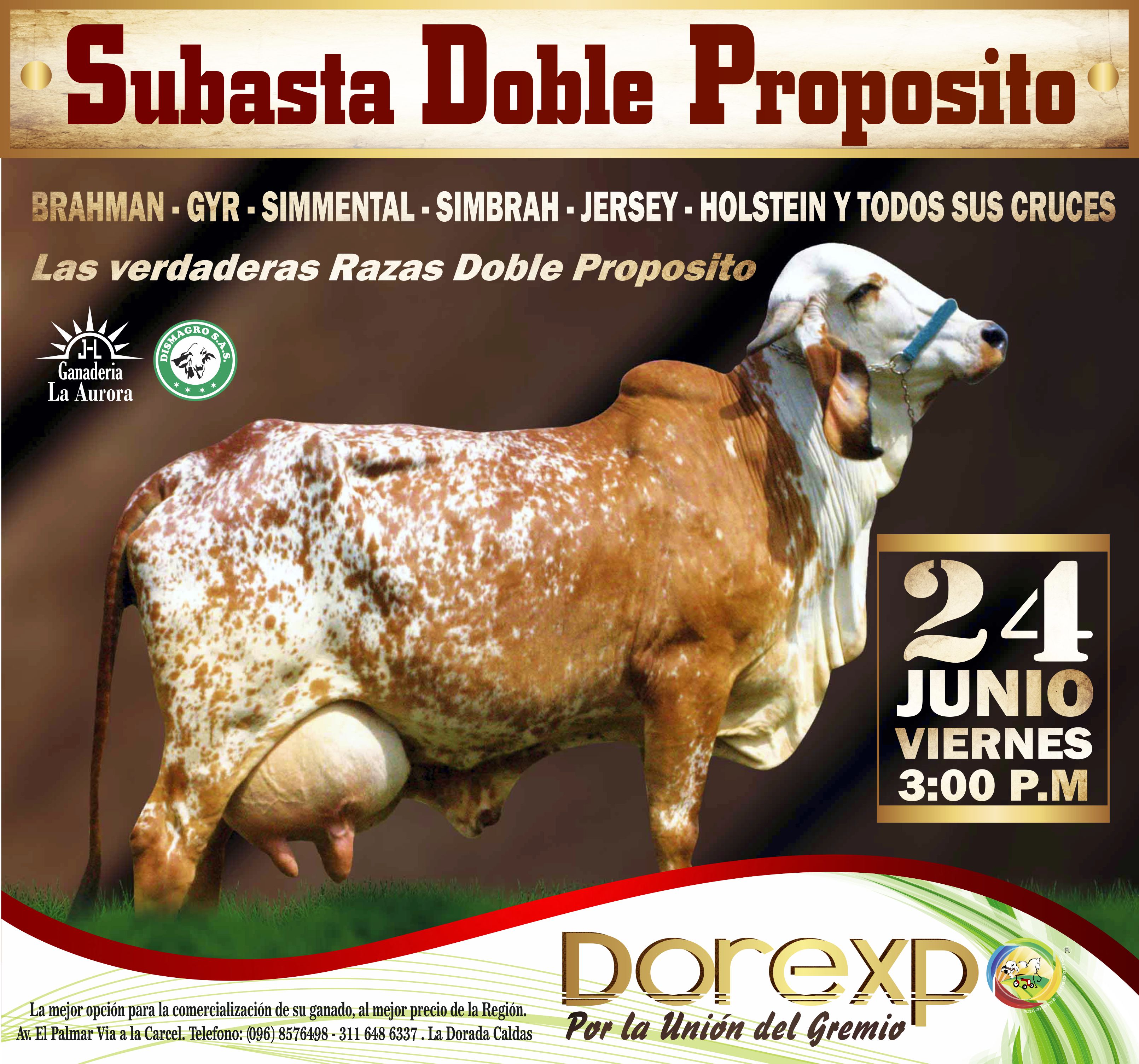Subasta Doble Proposito