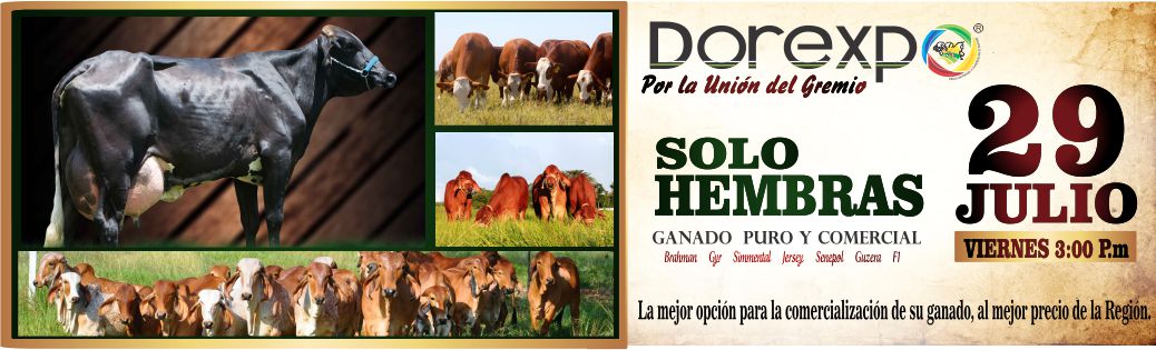 Subasta Doble Proposito