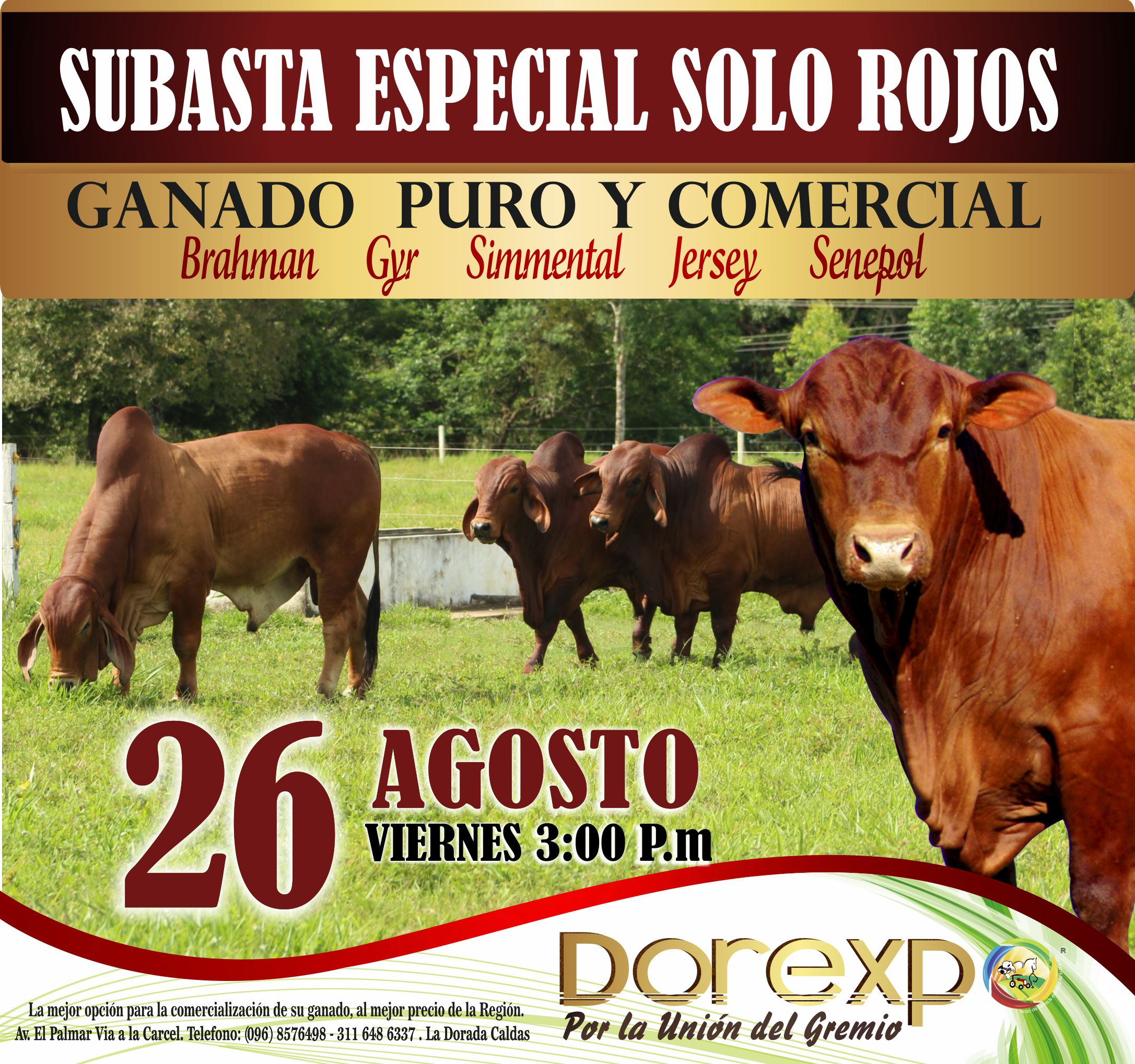 Subasta Solo Rojos
