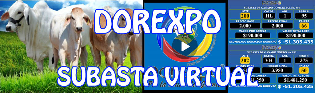 Subasta virtual